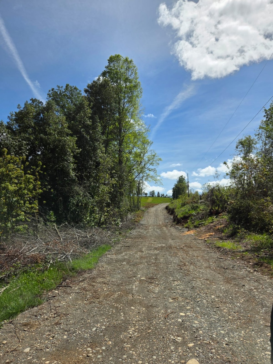 VENTA - Parcela Sector Colga 5.000 m2 - A 15 minutos de Villarrica - Con vertiente natural.